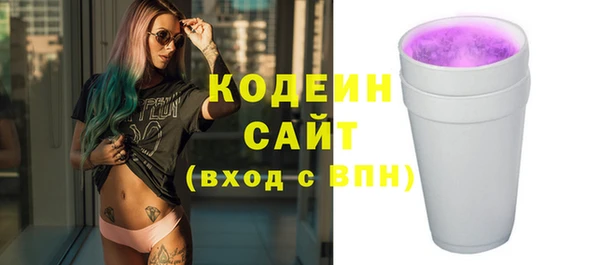 хмурый Арсеньев