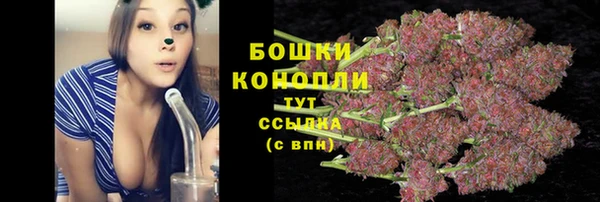 гидра Воткинск
