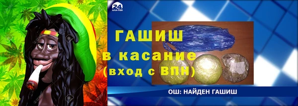 хмурый Арсеньев