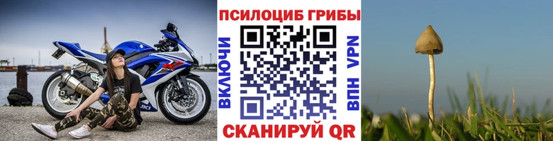 площадка состав  наркота  Красный Кут  Галлюциногенные грибы Magic Shrooms 